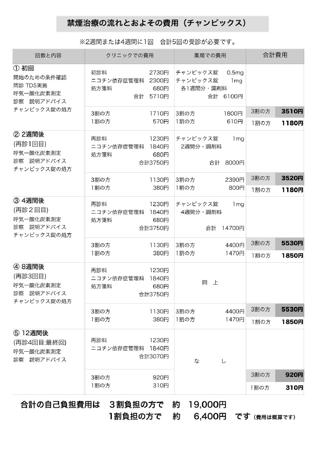 最 安値 ピックス チャン ミノキシジル10mglad通販